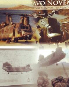 Falklands 400x504 Falklands 400x504