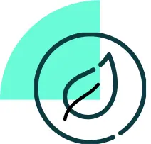 Cloud Solutions Environmental Impact