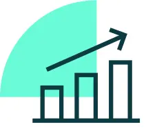 Cyber Security Maturity Assessments
